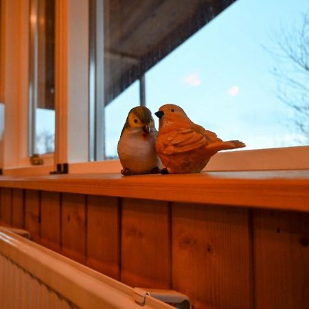 Thingvellir Cabin/Chalet Selfoss Kültér fotó