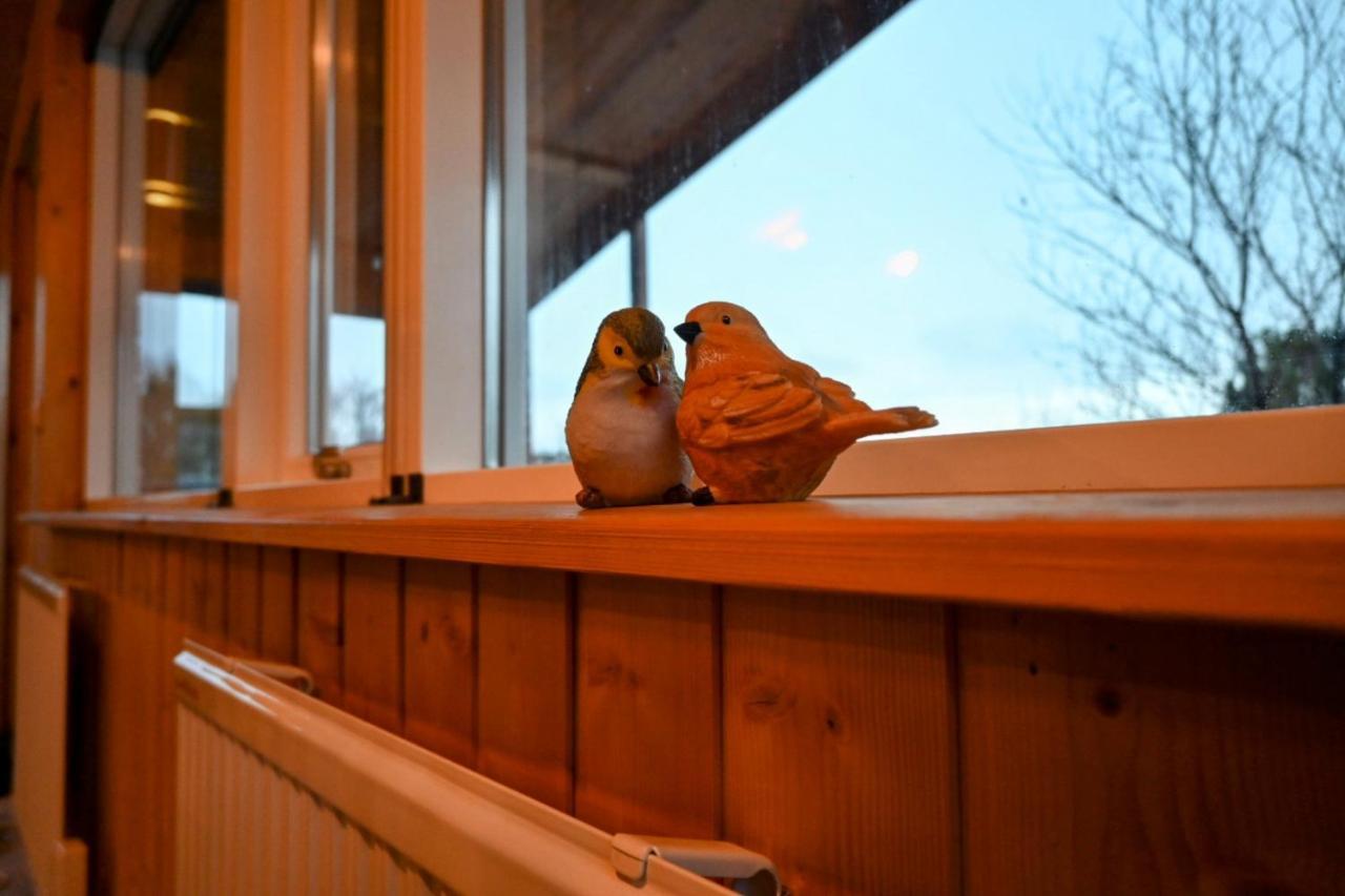 Thingvellir Cabin/Chalet Selfoss Kültér fotó
